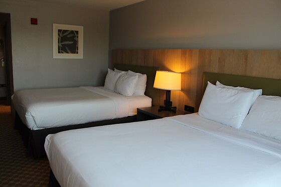Online Booking EPS - photo 1