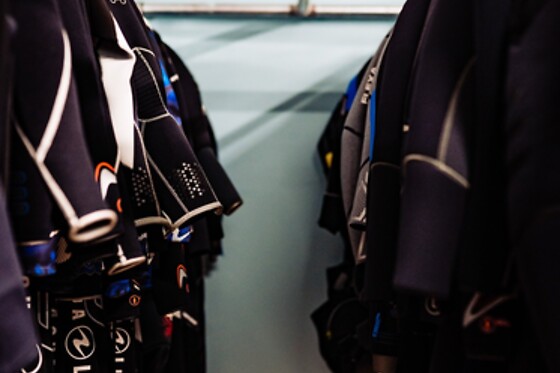 DiveWinns - photo 19