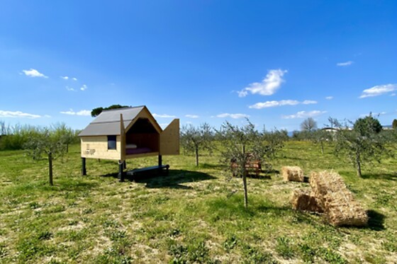 Agricamping Spineta - photo 6