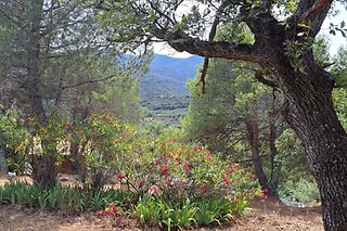 Un séjour pour 2 aux Cabanes d'ErbeFol à Ansignan (66)