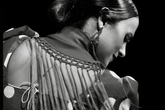 TABLAO FLAMENCO EL TORO Y LA LUNA VALENCIA - photo 0