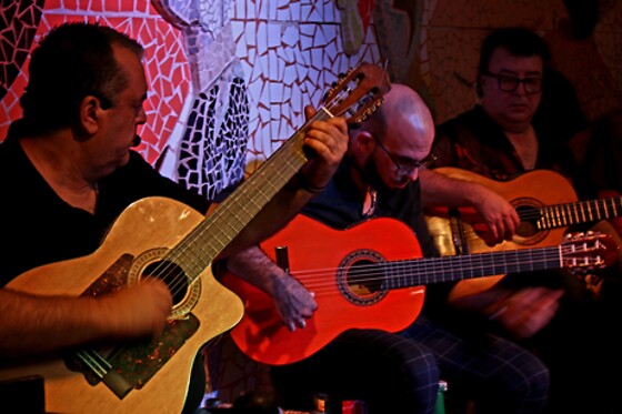 TABLAO FLAMENCO EL TORO Y LA LUNA VALENCIA - photo 1