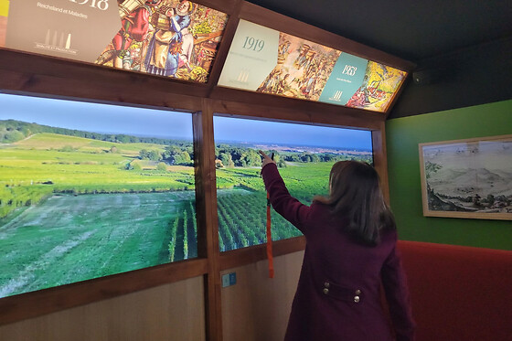 Billet Pour Le Musée Des Vins D'alsace À Colmar (68)