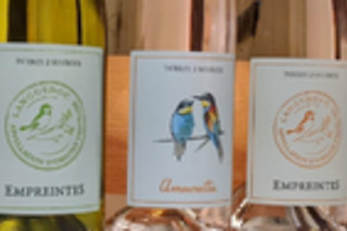 Un atelier d'œnologie et une visite du vignoble pour 2 au Domaine Terre des 2 Sources à Montoulieu (66)