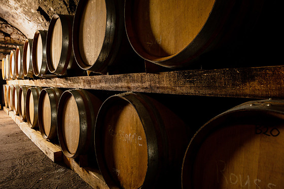 Un atelier d'œnologie et une visite du vignoble pour 2 au Domaine Terre des 2 Sources à Montoulieu (66)