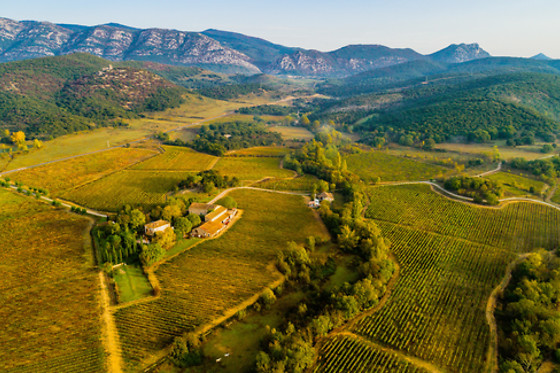 Un atelier d'œnologie et une visite du vignoble pour 2 au Domaine Terre des 2 Sources à Montoulieu (66)