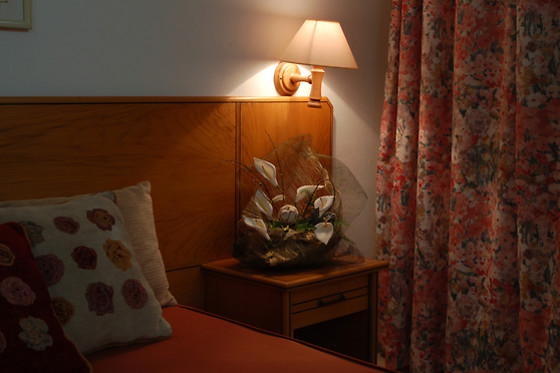 Hotel Pantanha - photo 6