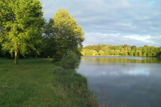Le Clos de Launay - photo 4