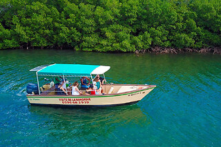 Visite guidée de la Mangrove depuis Les Trois-Ilets