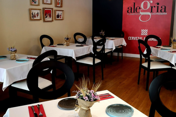 ALEGRÍA FLAMENCO Y GASTRONOMÍA - photo 12
