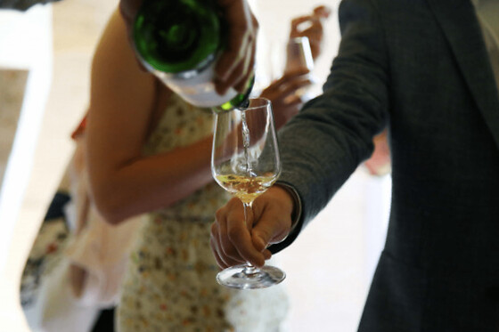 Visite et dégustation de vins bios à Bordeaux (33)