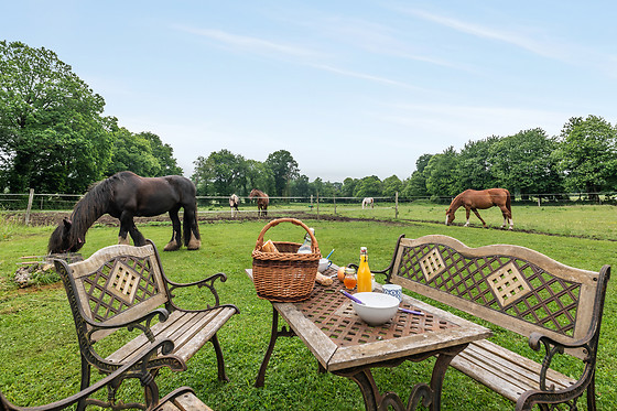 Une roulotte et des chevaux - photo 14