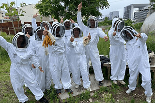 Stage 1/2 journée apiculture à Blaye près de Bordeaux