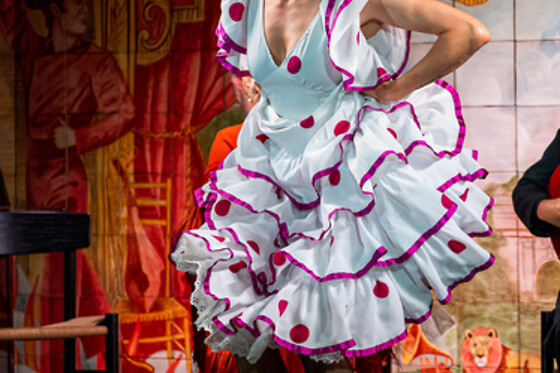 FLAMENCO DE LEONES - photo 7
