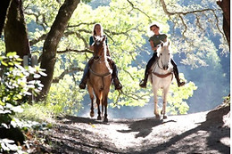 Centre Equestre les Onglous