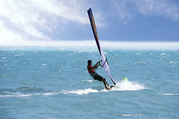 Wave School
