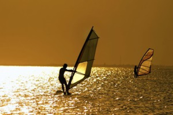 Planche à voile et/ou de stand up paddle - Wave School - Vendée