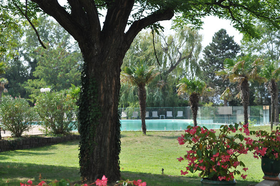 Hôtel Les Oliviers - photo 2