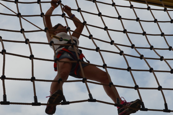Big Bird - photo 2