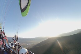BIZIFLY