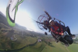 BIZIFLY