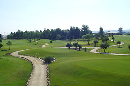 PALOMAREJOS GOLF