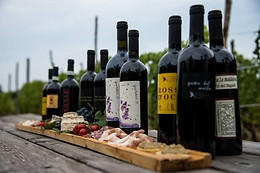 Cascina La Maddalena Bed & Wine