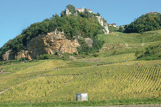 Dégustation pour 2 au domaine Geneletti à Château-Chalon (39)