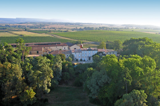 Château Auzias - photo 4