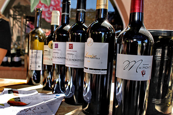 Domaine de Montels - photo 0