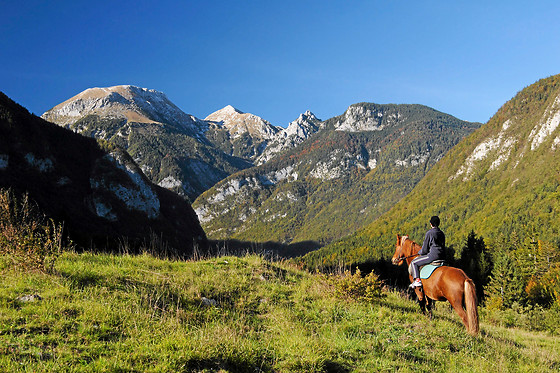 Centre Equestre les Onglous - photo 8