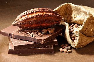 Atelier de cuisine autour du chocolat à la Reine Astrid à Meudon (92)