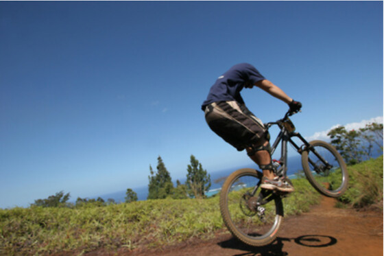 Cycle sport - photo 0