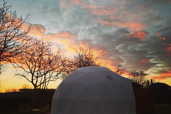 Tui's Nest Glamping - photo 2