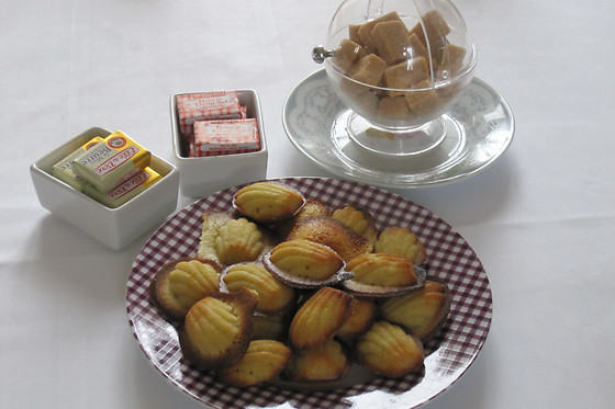 La Crique - photo 6