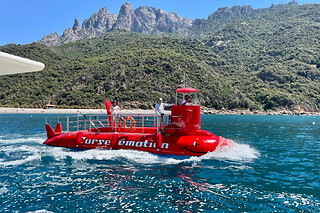 Tour en semi sous-marin depuis Porto