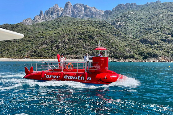 Tour en semi sous-marin depuis Porto