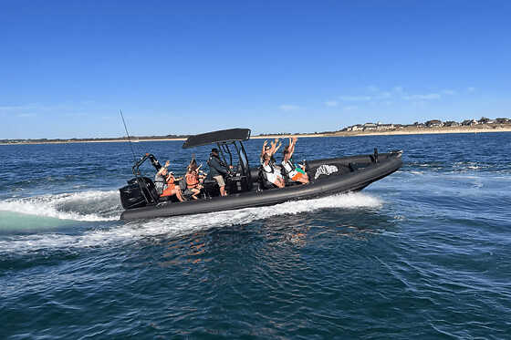 Croisière découverte 3h dans le Golfe du Morbihan
