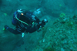 ECOALGA - CENTRO DE MERGULHO DA COSTA ALENTEJANA