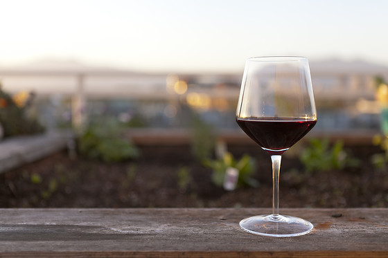 Atelier vigneron interactif pour 2 chez Œnanim à Saint-Emilion (33)