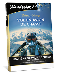 Vol en avion de chasse