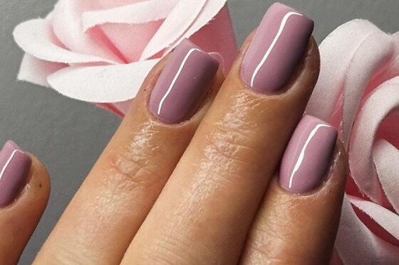 Beauté Nuancée - photo 17