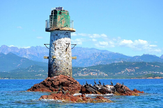 Croisière Nature et Découverte au départ de Porto Vecchio (20)