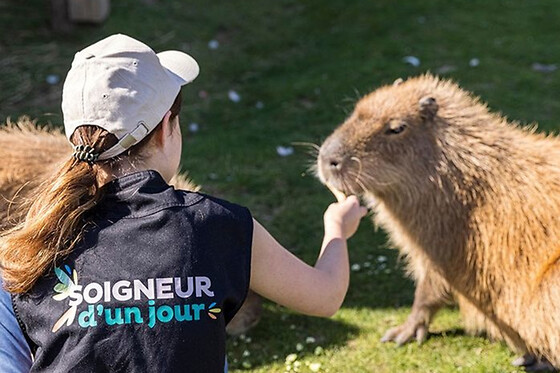 Soigneur d'un jour au parc Parrot World - Enfant