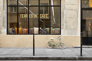 Une initiation à la caféologie à Terres de Café à Paris (75)