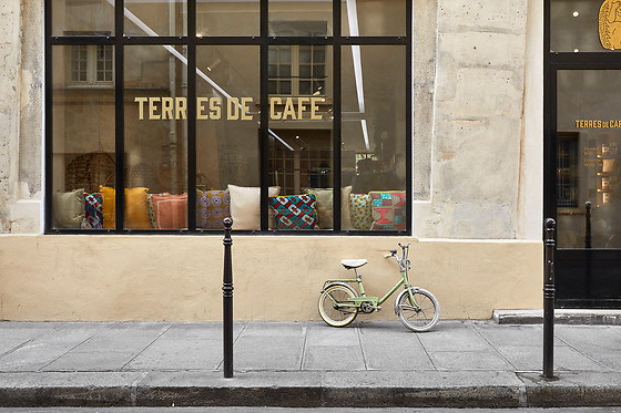 Terres de Café - photo 2