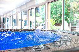 Hôtel Vitalparc hôtel & Spa – The Originals Collection