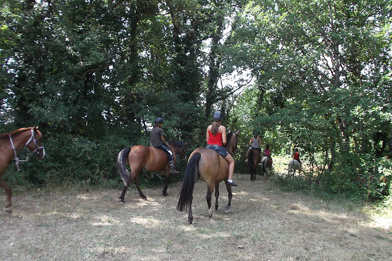Un Poney, une histoire - photo 6