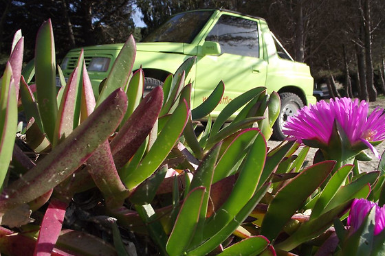 GEA FORESTAL ECO TURISMO ACTIVO - photo 5