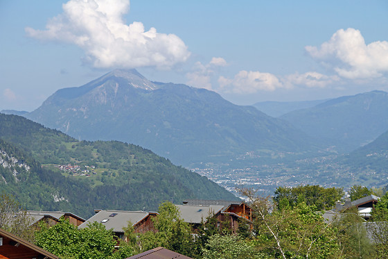 La Croix de Savoie & Spa - photo 16